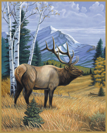 bull elk bugeling